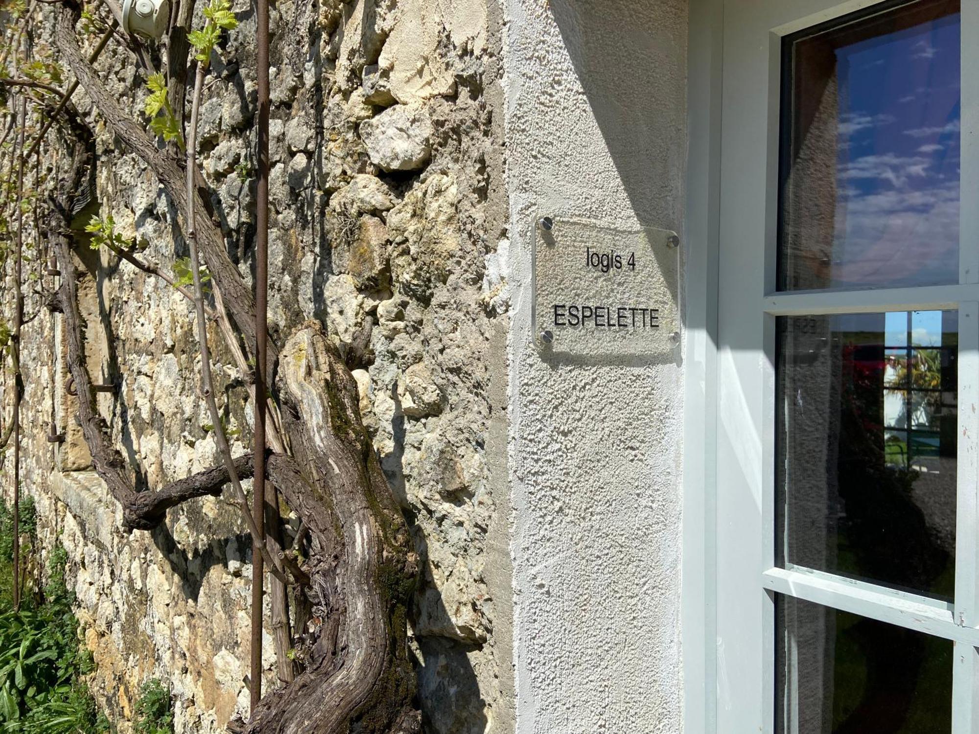 Chateau De Feusse Saint-Just-Luzac Buitenkant foto